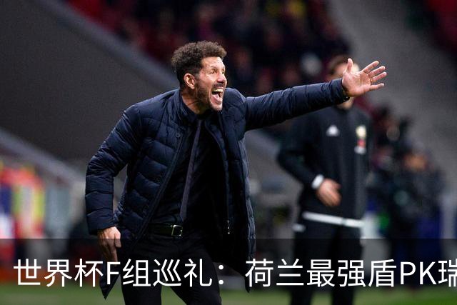 世界杯F组巡礼：荷兰最强盾PK瑞典犀利刀 日本短板明显
