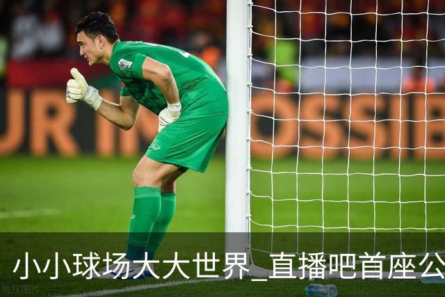 小小球场大大世界 直播吧首座公益足球场在贵州落成