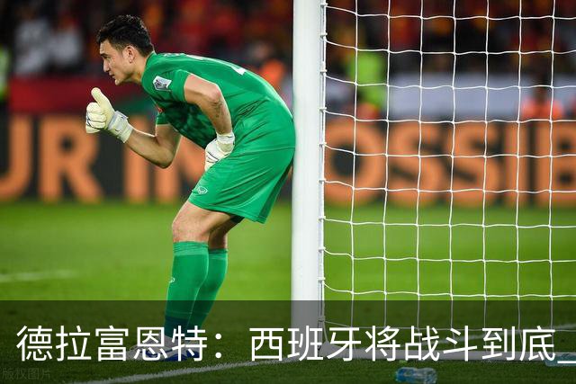 德拉富恩特：西班牙将战斗到底 巴西队仍然是诸强学习的榜样