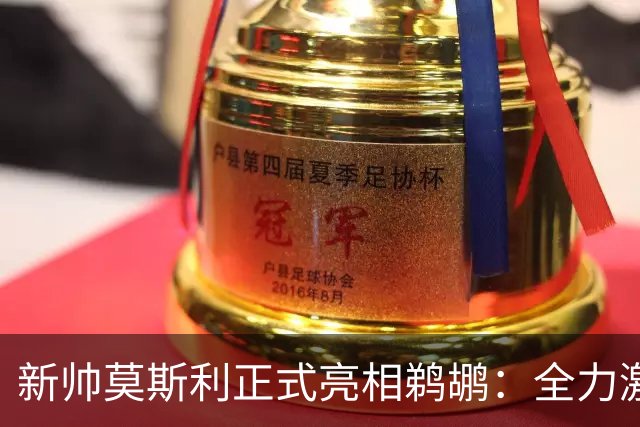 新帅莫斯利正式亮相鹈鹕：全力激发锡安天赋，提升身体对抗