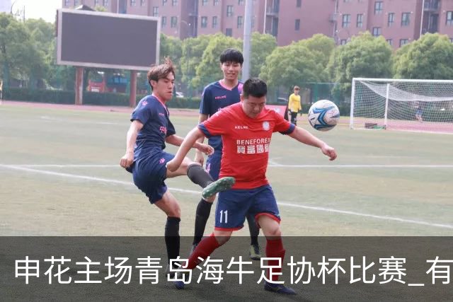 申花主场青岛海牛足协杯比赛 有CCTV5直播